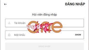 Tài khoản dùng thử LD789